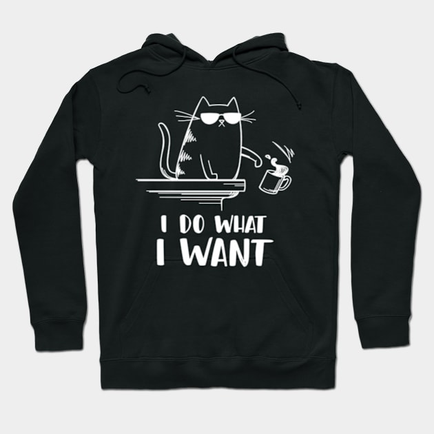 Cat I Do W I Want Hoodie by klei-nhanss
